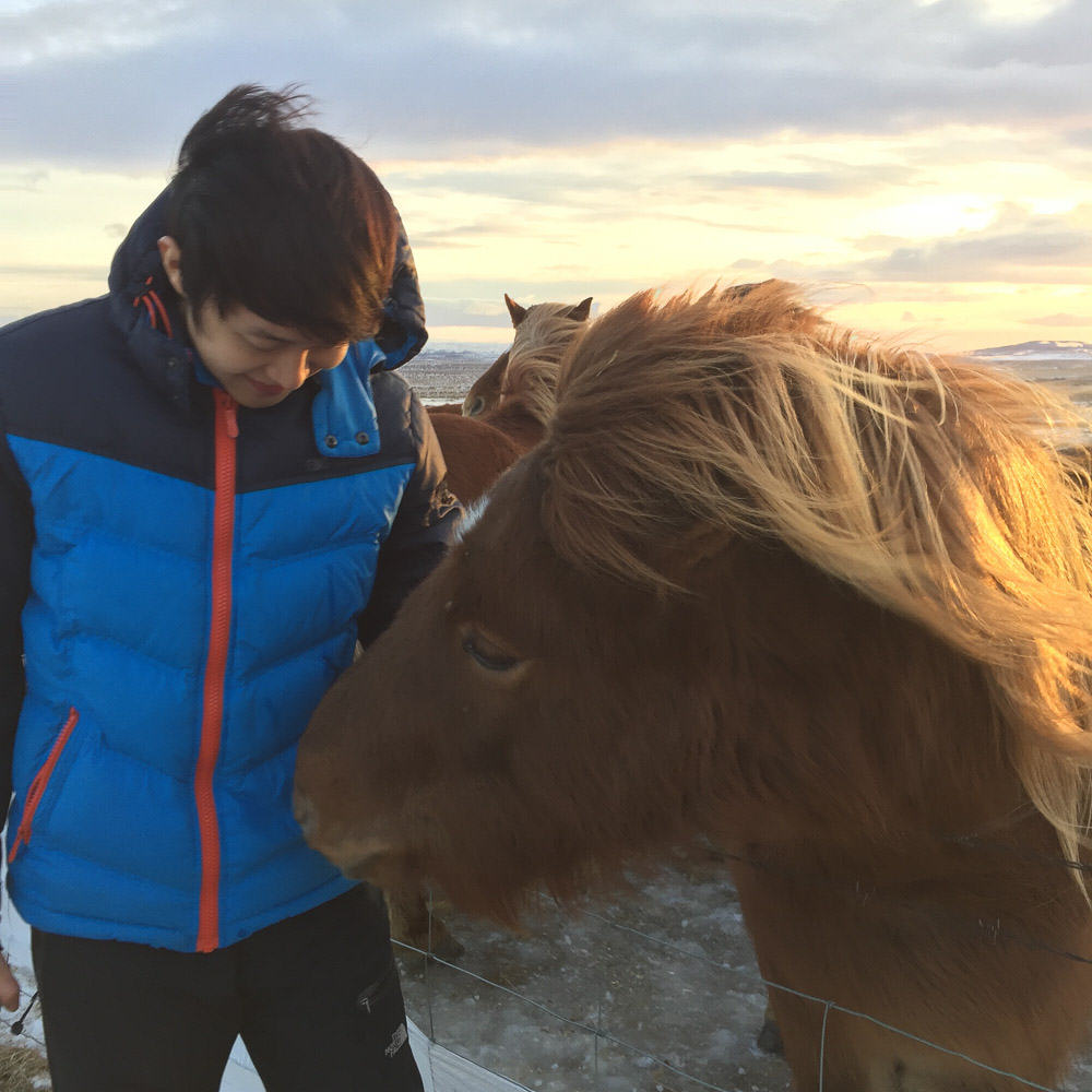 Iceland Winter-25-horse