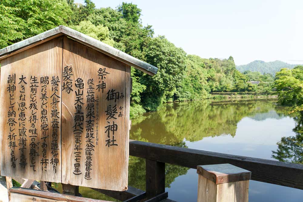 Arashiyama Bamboo Grove - Kyoto Japan Travel Guide-4