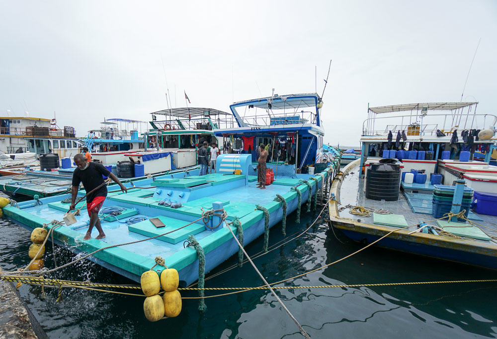 male-fishing-boat-maldives-budget-guide-7